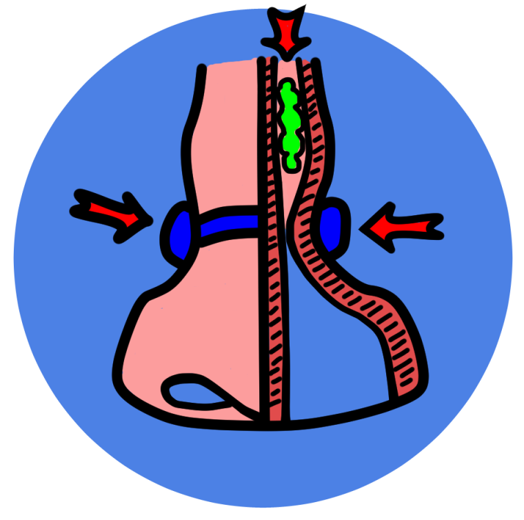 The nose clip promotes mucus buildup in the nostrils